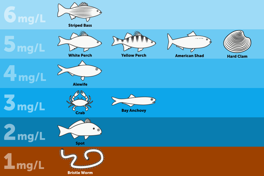 Common Causes of Low Oxygen Levels