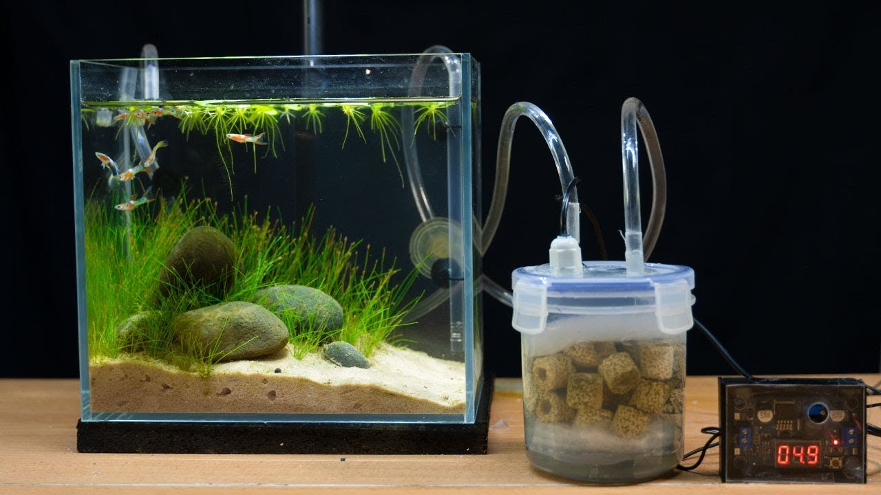 How to make filter for aquarium