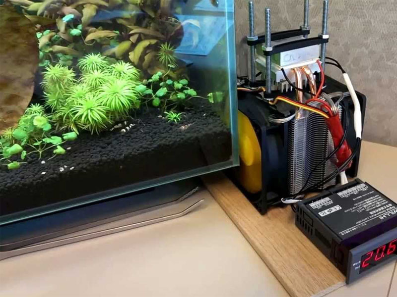 Install an Aquarium Chiller