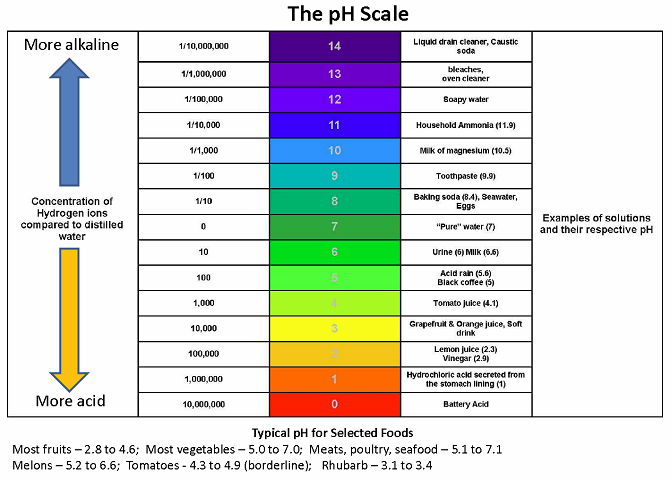 Understanding pH Levels in Your Aquarium