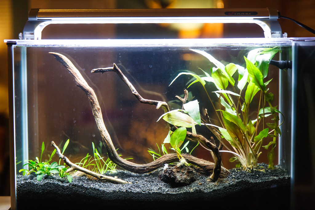 Poor lighting conditions for aquariums