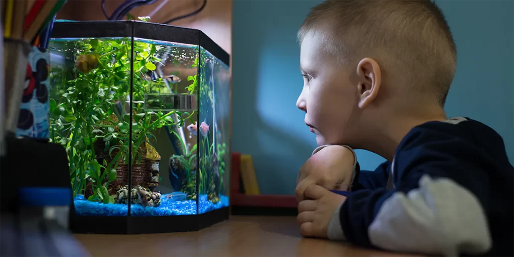 Preparing Your Aquarium