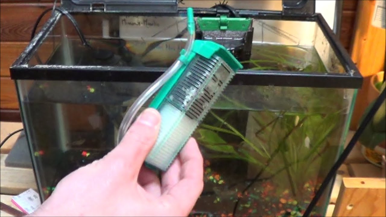 How to Set Up Air Pump Aquarium