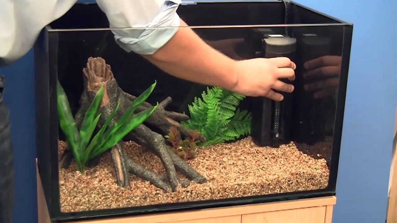 Setting Up the Tank