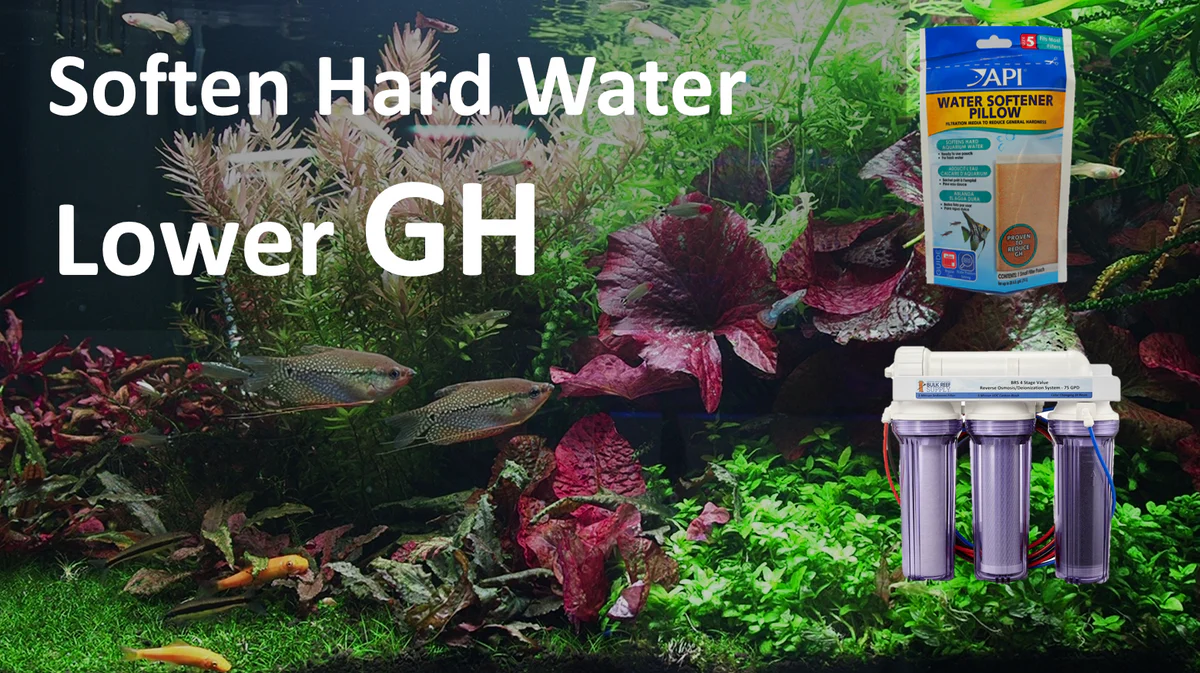 Signs of High Water Hardness in Aquariums