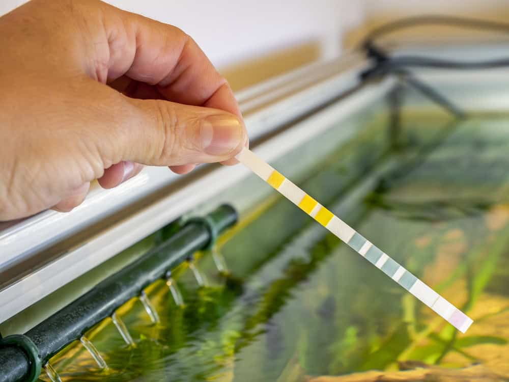 Test and control water quality for fish tanks