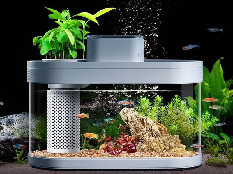 Understanding Aquarium Water Chemistry