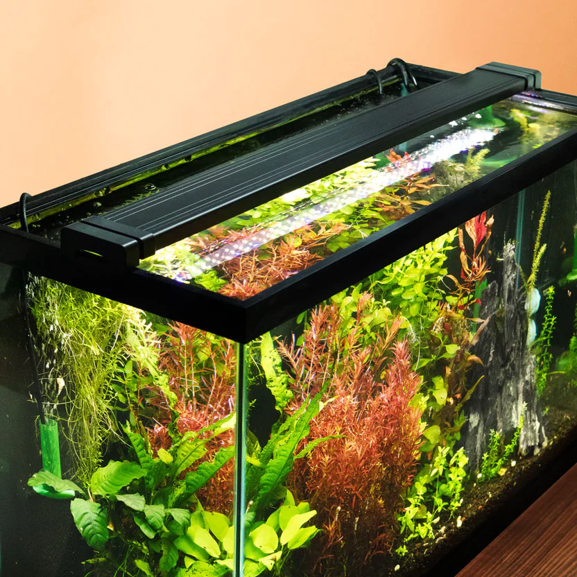 Use a fan to increase airflow to the aquarium