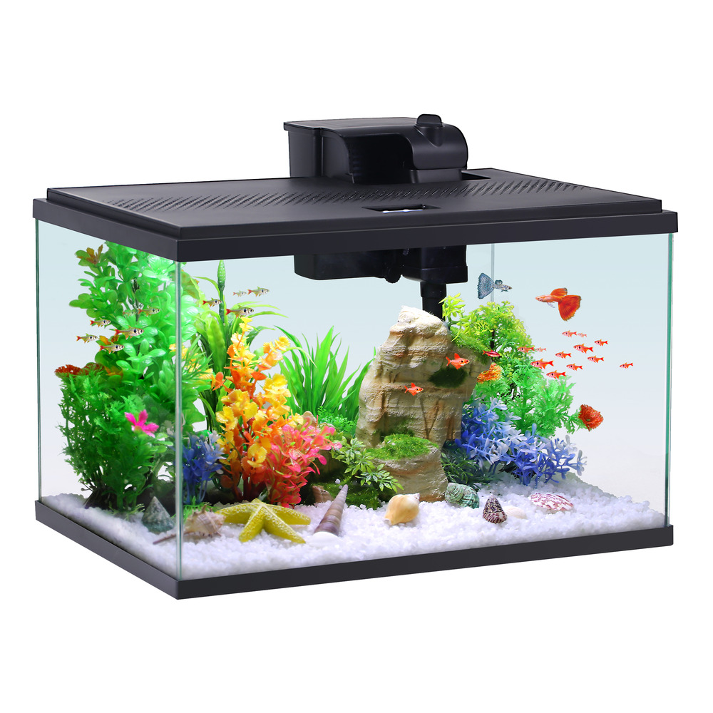 Aquarium Equipment: The Essentials You Need