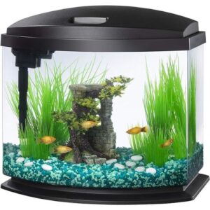 Aqueon LED MiniBow Small Aquarium Fish Tank Kit 5 Gallon