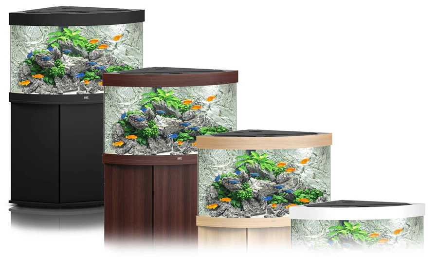 Choosing the Right Aquarium Equipment for Your Tank