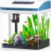 Fish Tank 2 Gallon Glass Aquarium