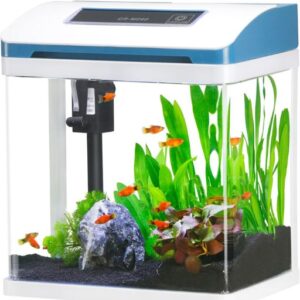 Fish Tank 2 Gallon Glass Aquarium