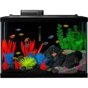 GloFish 20 Gallon Aquarium Kit